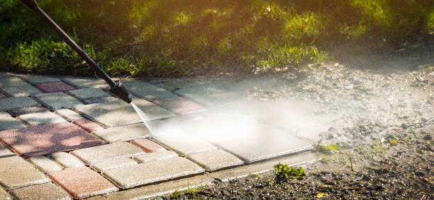 Animal Enclosure Cleaning in Bear Creek, FL